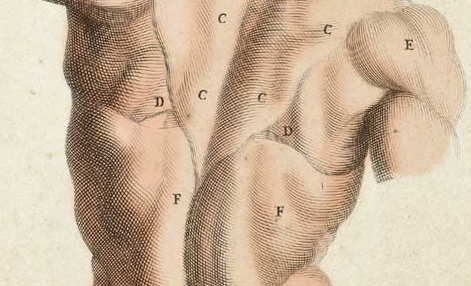 Progressive Relaxation Exercise