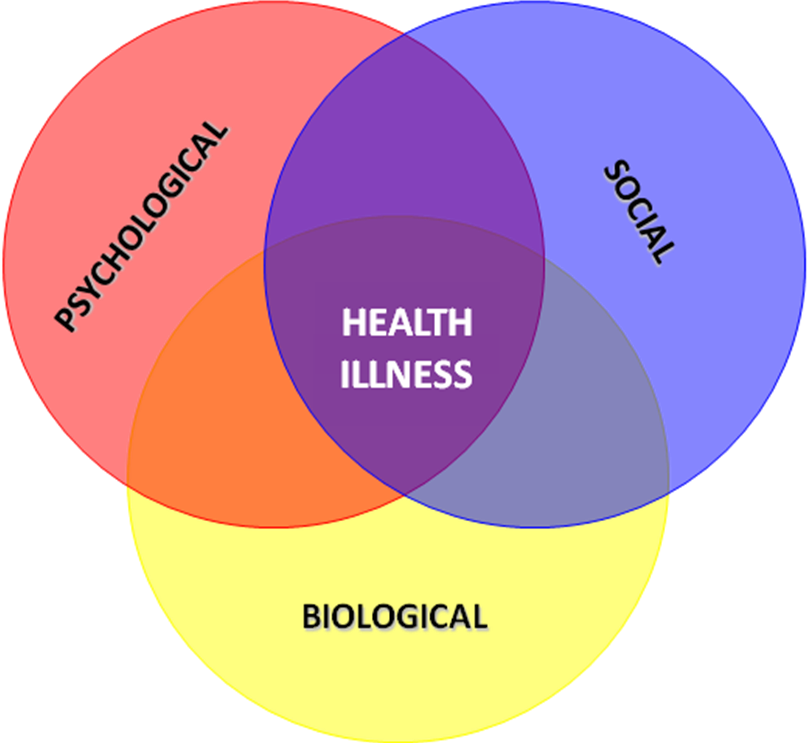 Essays on biopsychosocial model of health
