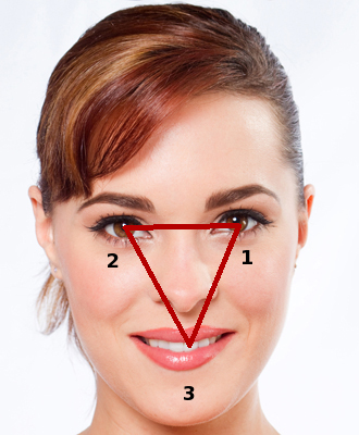Image result for facial triangle