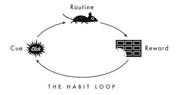 habit loops